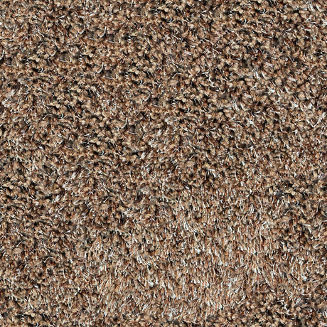 Regal Carpet
