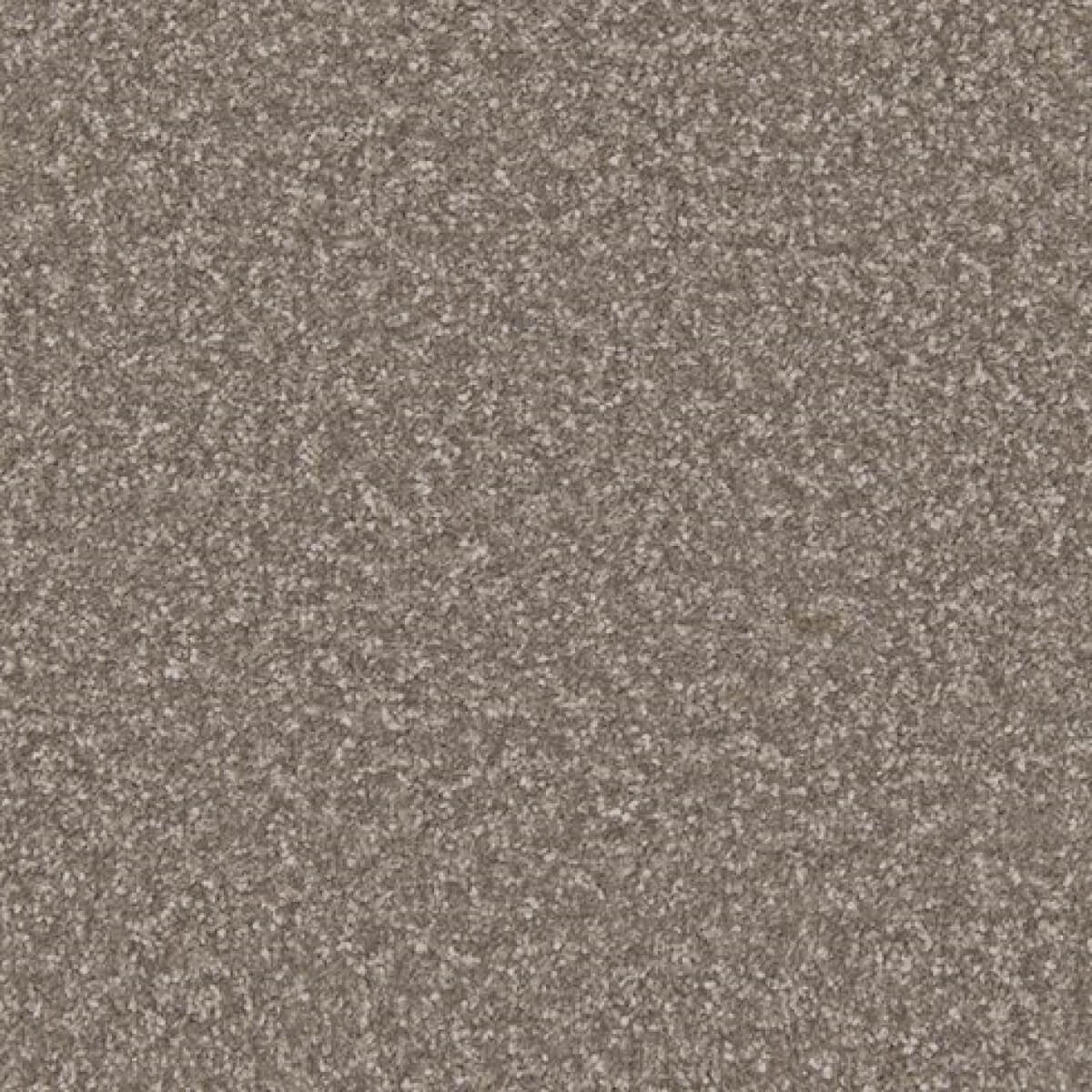 Apollo Plus Carpet