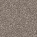 Apollo Plus Carpet