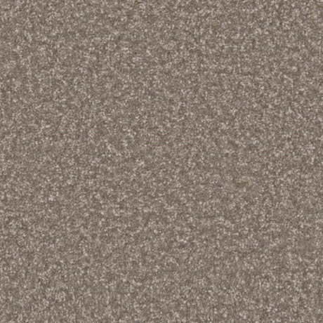 Apollo Plus Carpet
